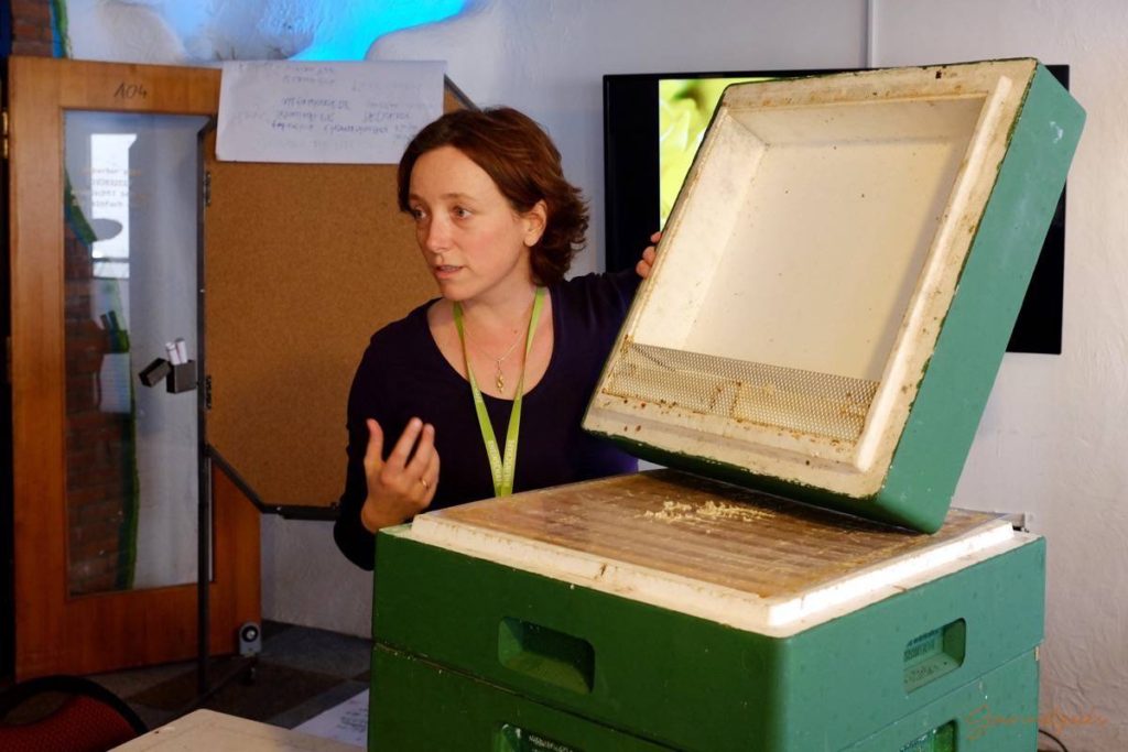 Marlena zeigt den Aufbau eines Bienenstocks