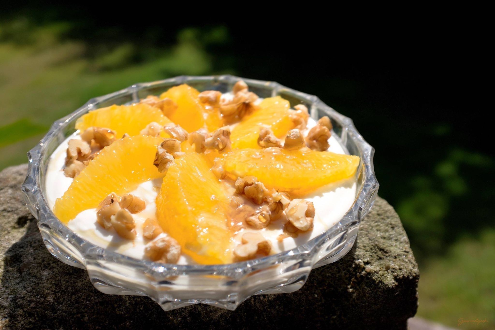 Griechischer Joghurt - Gourmetgeeks