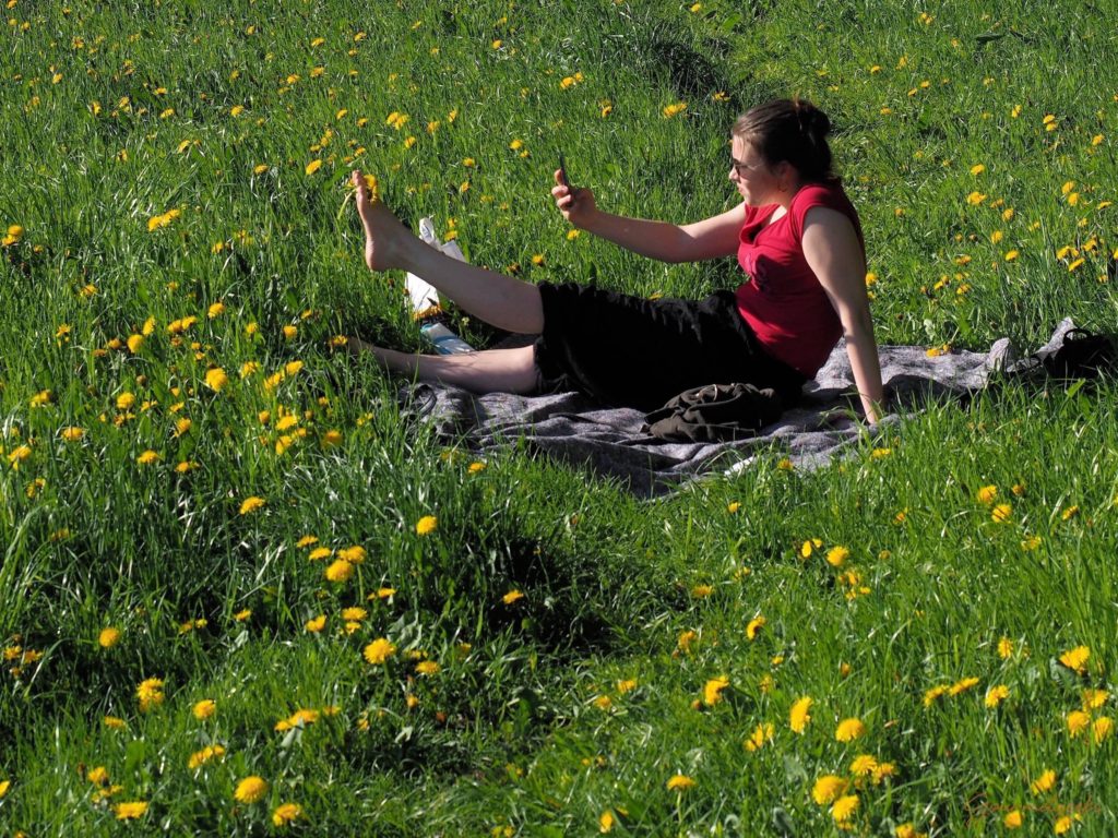 Alleine auf der Picknick Decke ist ja auch langweilig