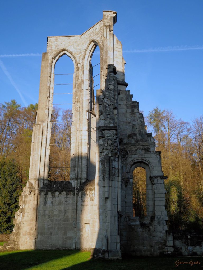 Ruinenteil der gotischen Klosterkirche