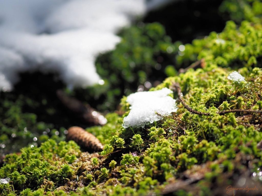 Der Frühling setzt sich durch