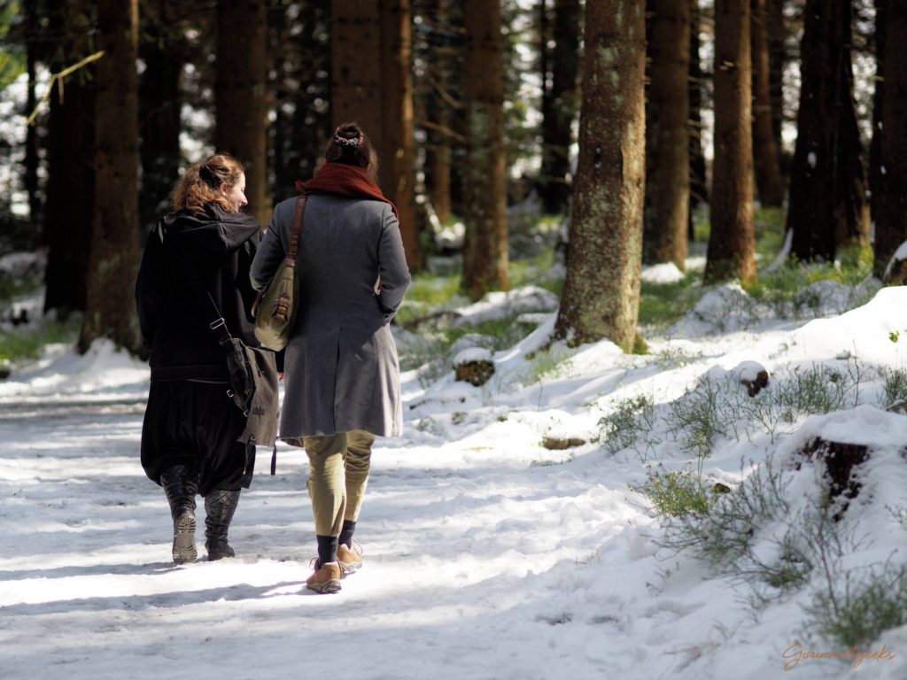 Schnee auf dem Weg zu den Schnarcherklippen