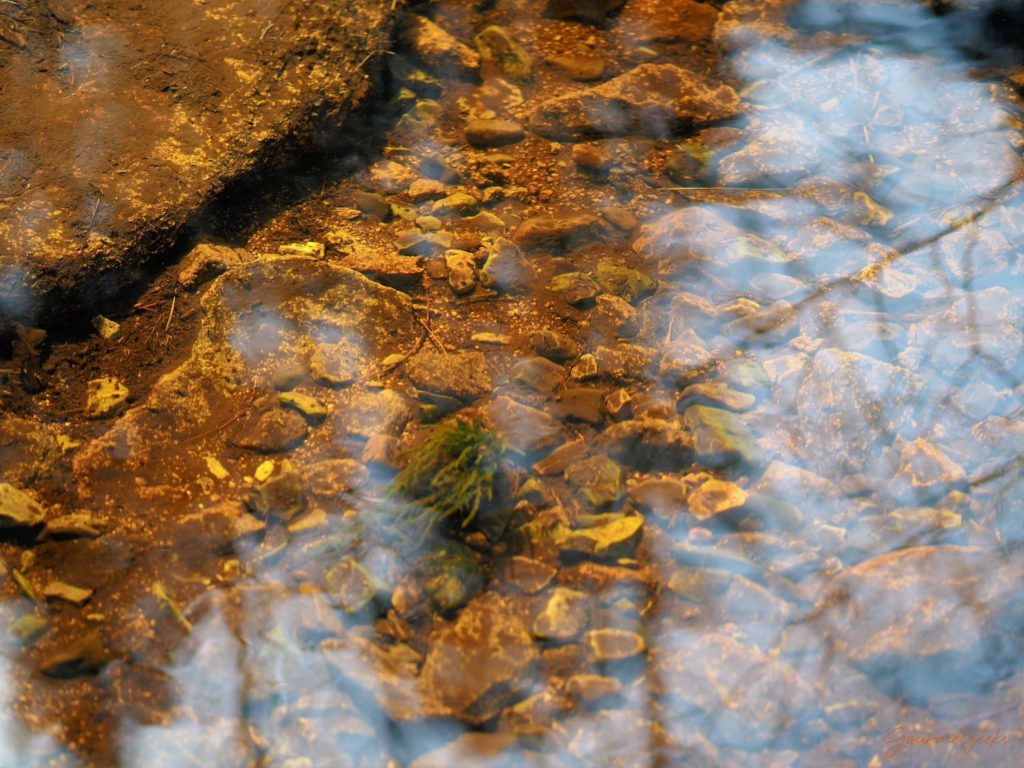 Klares Wasser, schimmer da Gold?