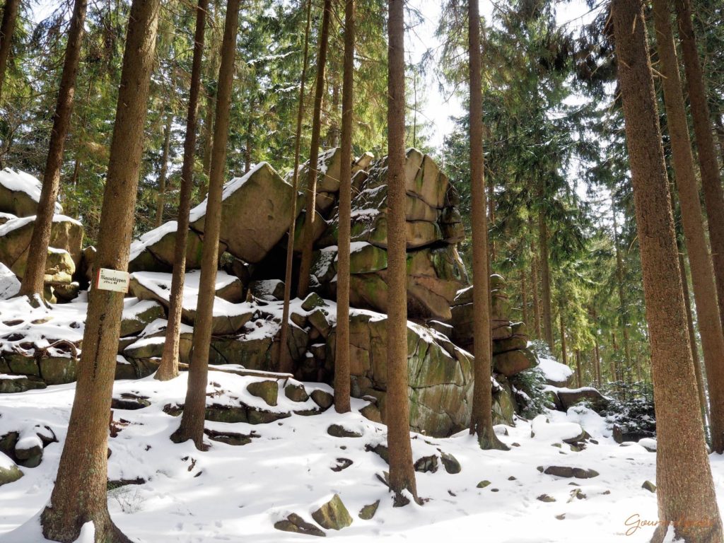 ...auf dem Weg zu den Schnarcherklippen