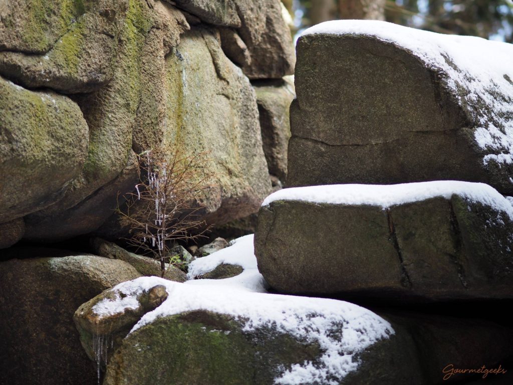 Granit, Schnee und Bäumchen